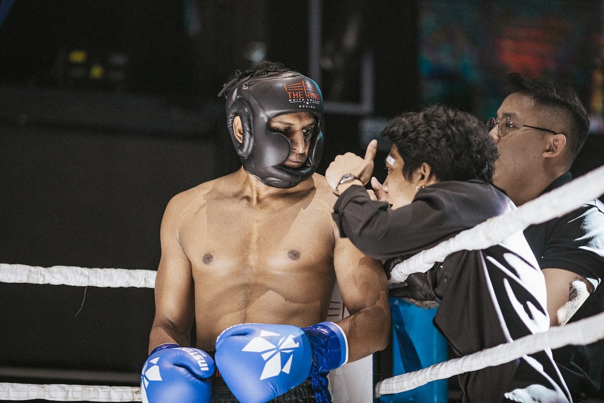 white collar boxing show