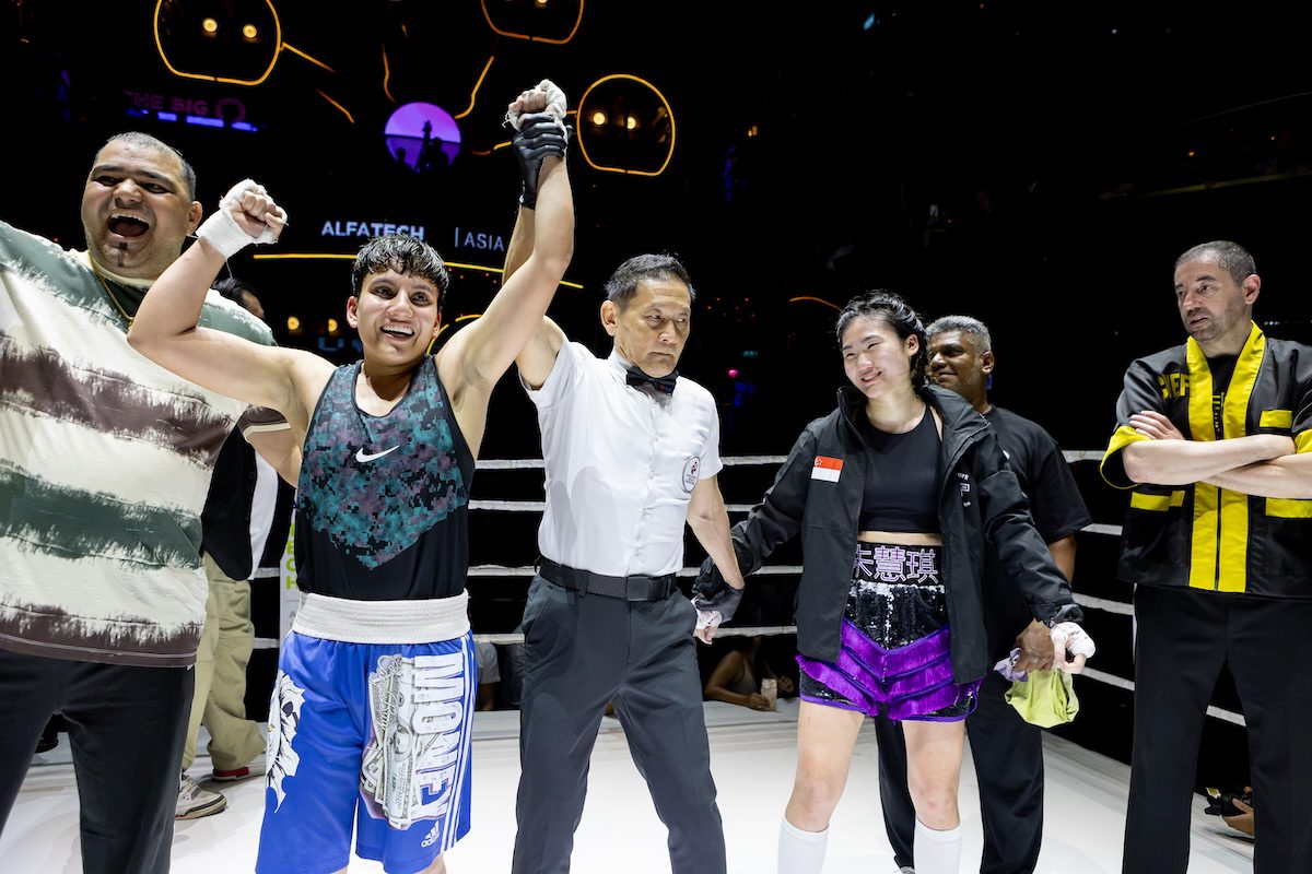 white collar boxing show